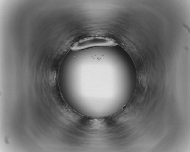 X0000096200660200801251014