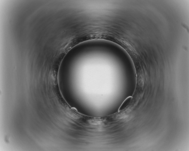 X0000096200661200801251014