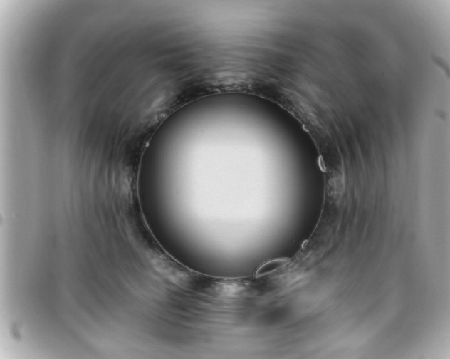X0000096200662200801251014