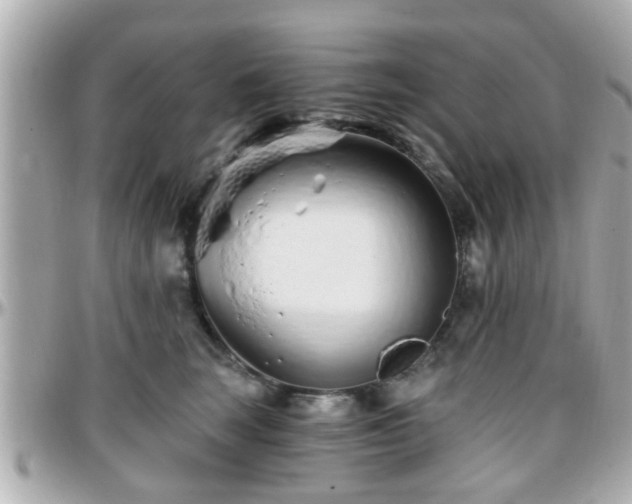 X0000096200663200801251014
