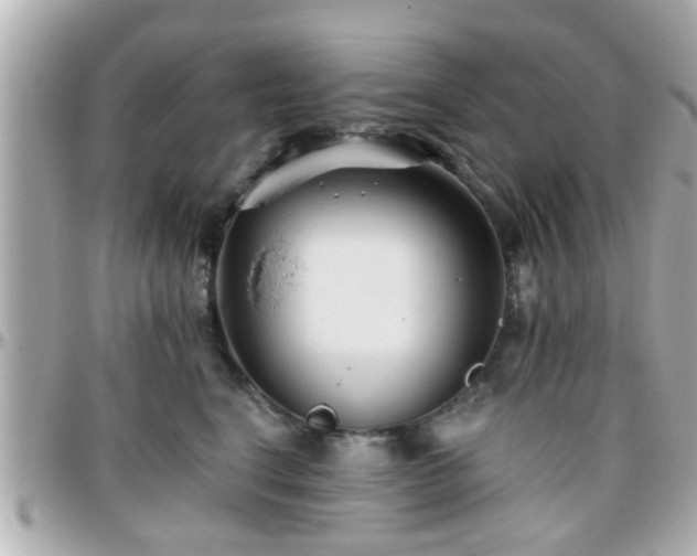 X0000096200664200801251014