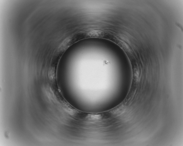 X0000096200665200801251014