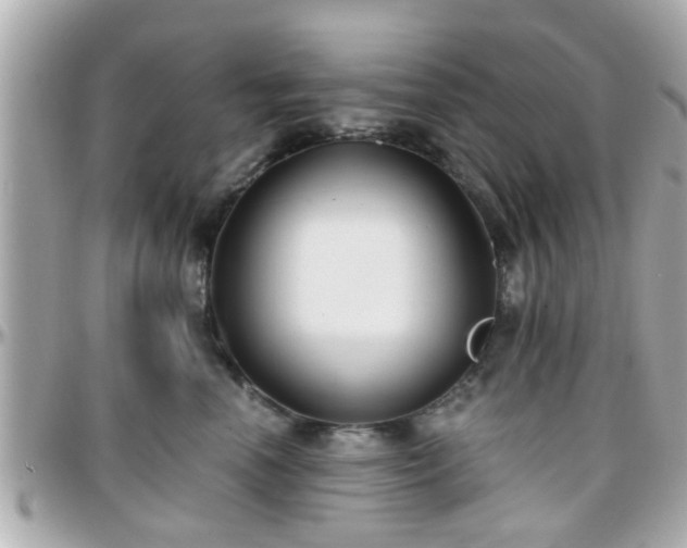 X0000096200666200801251014