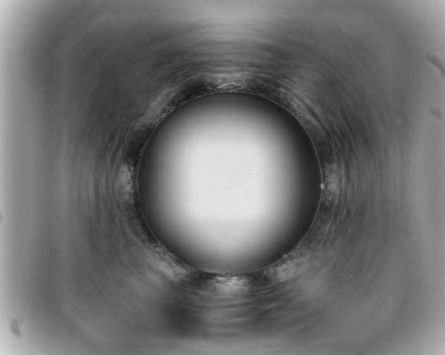 X0000096200667200801251014