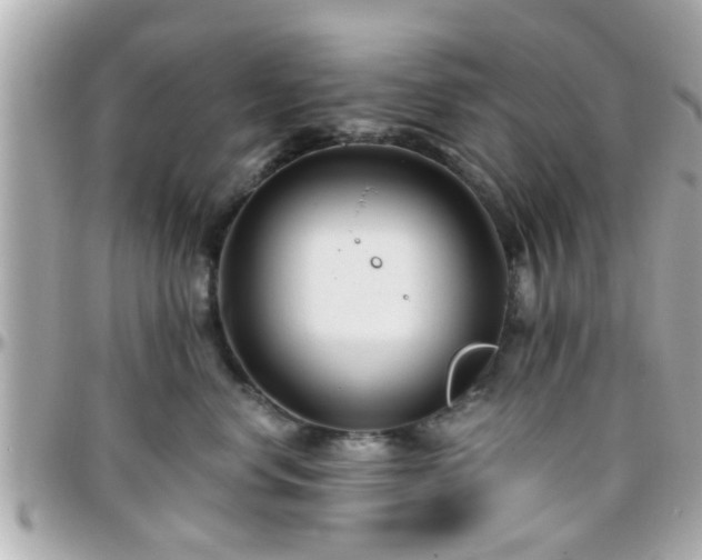 X0000096200668200801251014