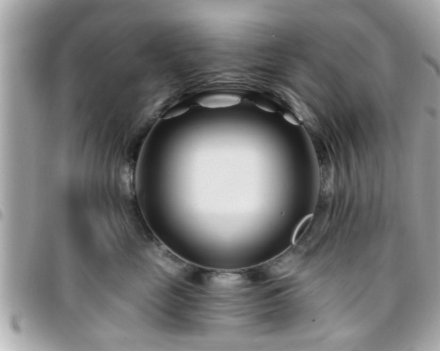 X0000096200669200801251014