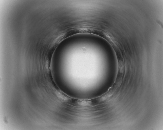 X0000096200670200801251014