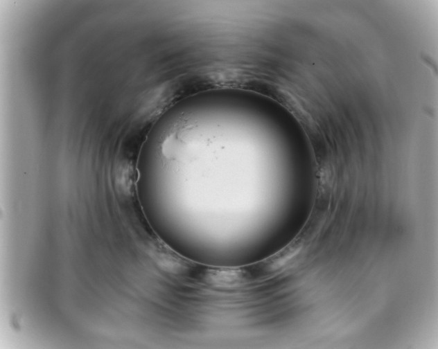 X0000096200671200801251014