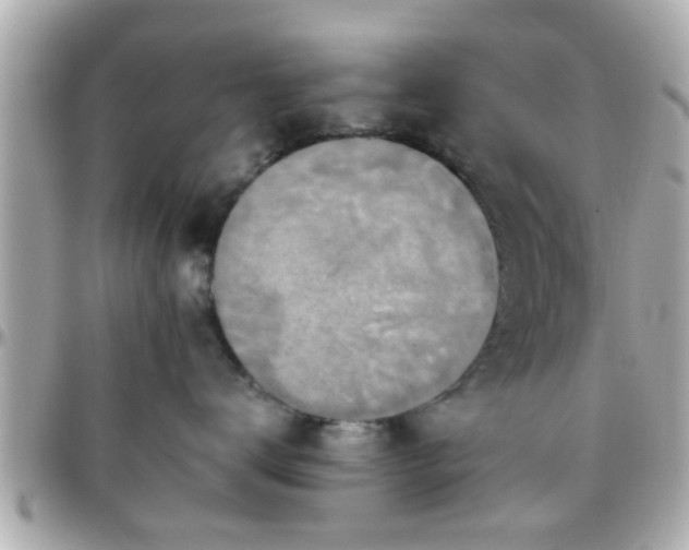 X0000096200672200801251014