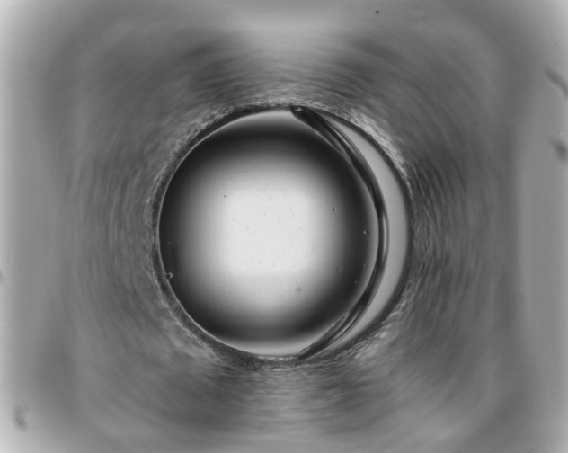 X0000096200673200801251013