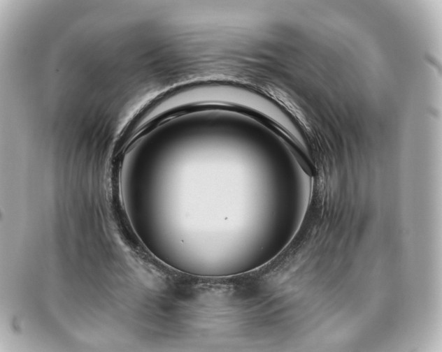 X0000096200676200801251013