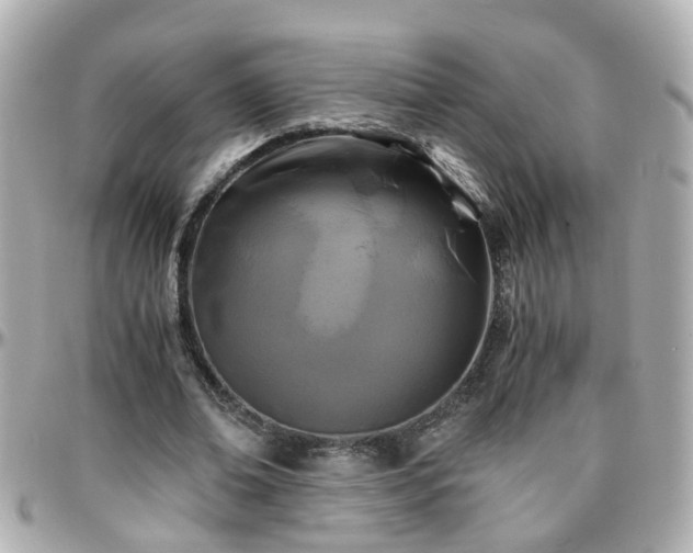 X0000096200678200801251013