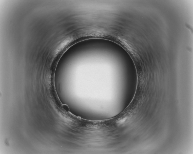 X0000096200679200801251013