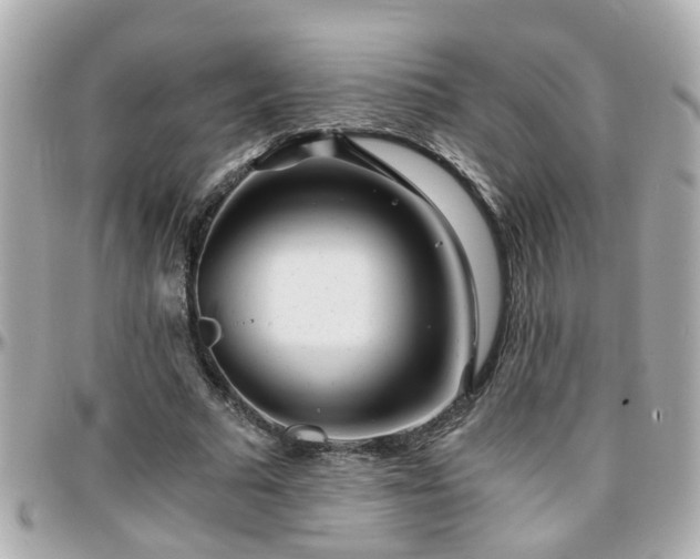 X0000096200681200801251013