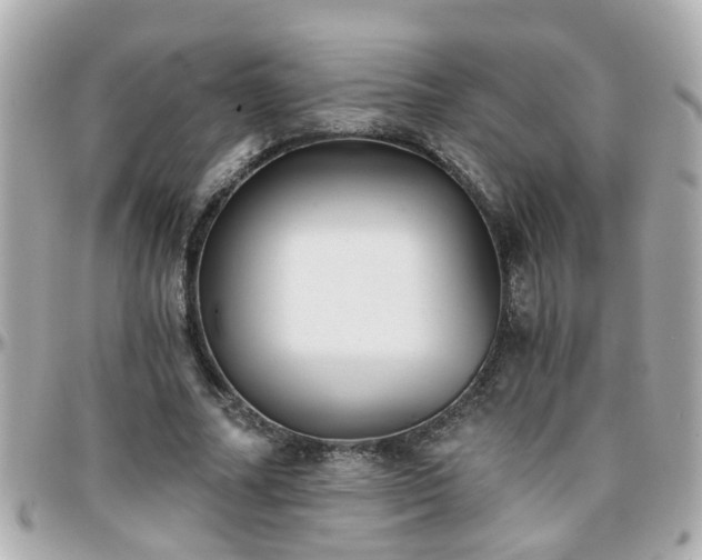 X0000096200682200801251013
