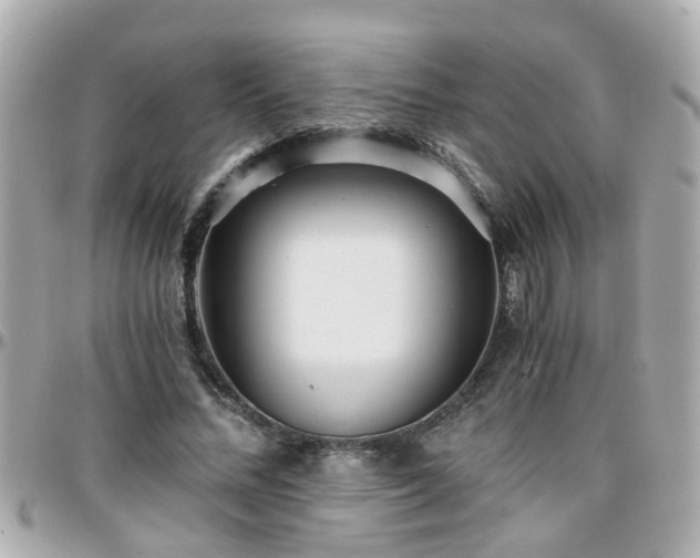 X0000096200684200801251013