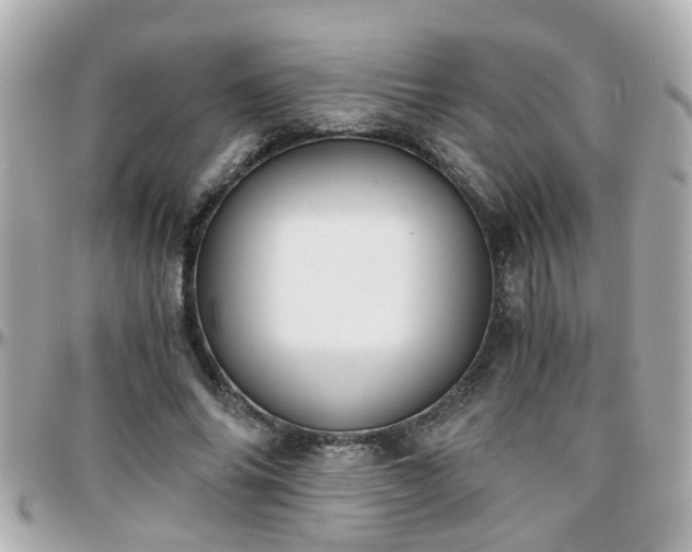X0000096200686200801251013