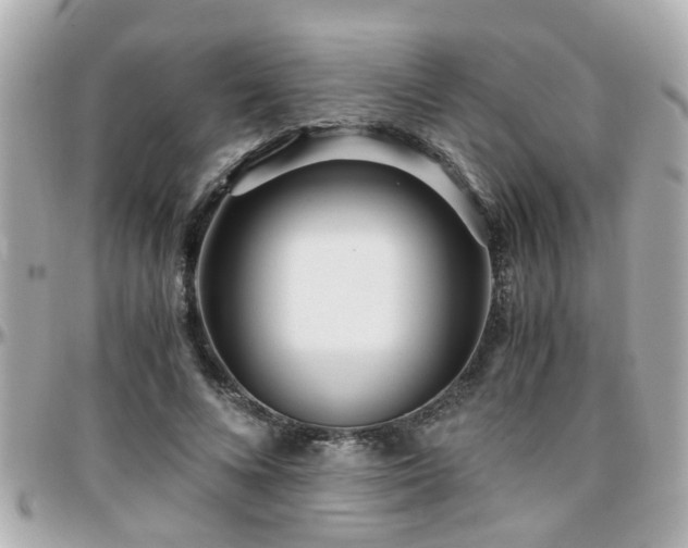 X0000096200688200801251013