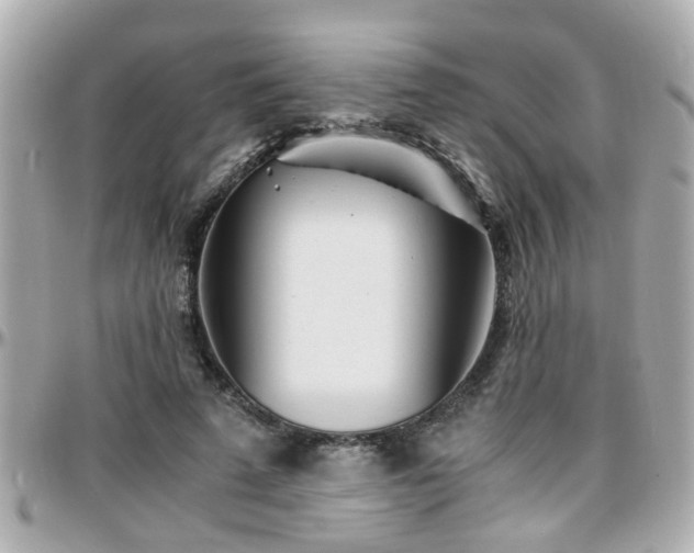 X0000096200689200801251013