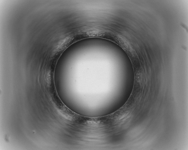 X0000096200690200801251013