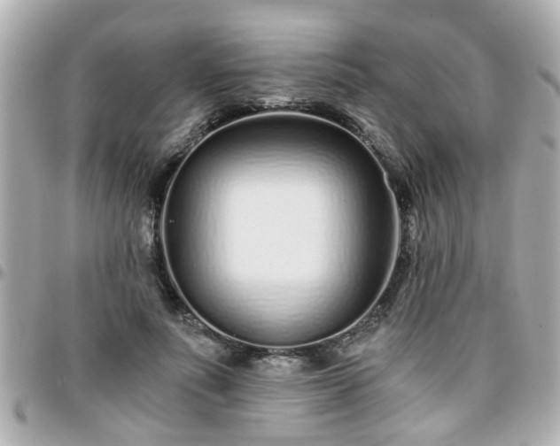 X0000096200691200801251013