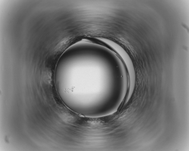 X0000096200693200801251013