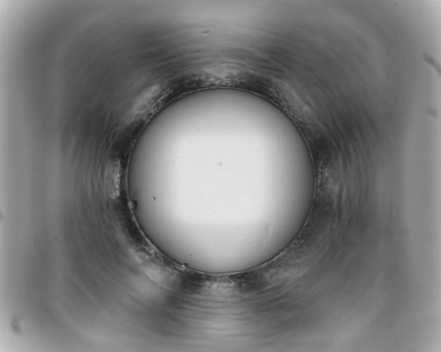X0000096200694200801251013