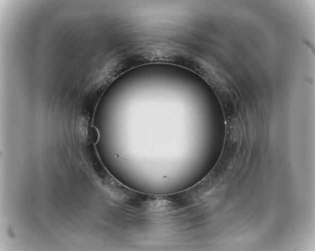 X0000096200695200801251013
