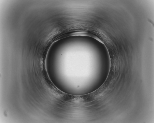 X0000096200696200801251013