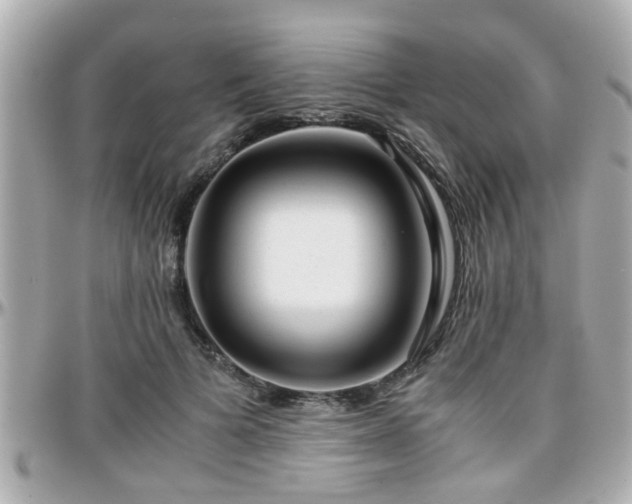 X0000096200697200801251013