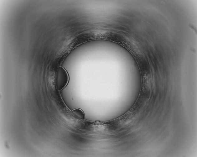 X0000096200698200801251013