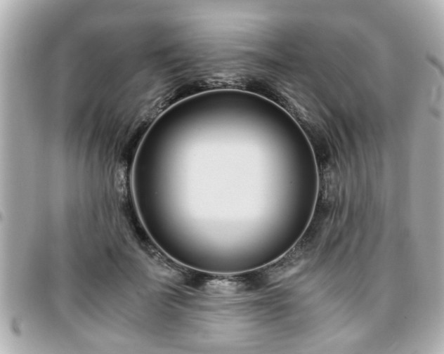 X0000096200699200801251013