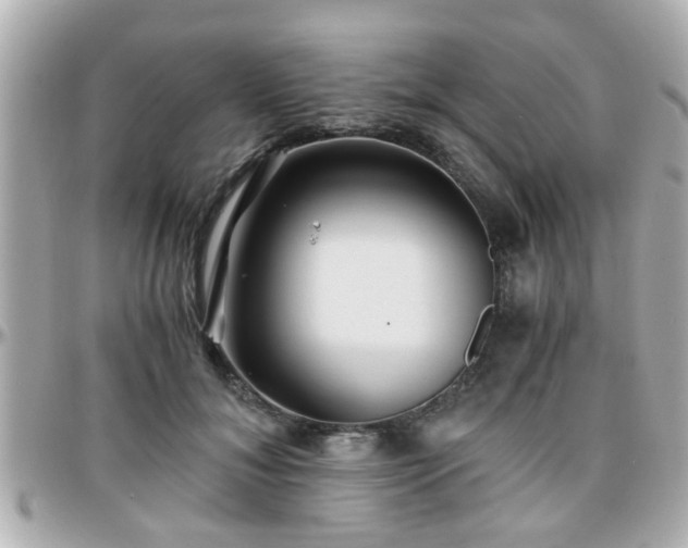X0000096200700200801251013