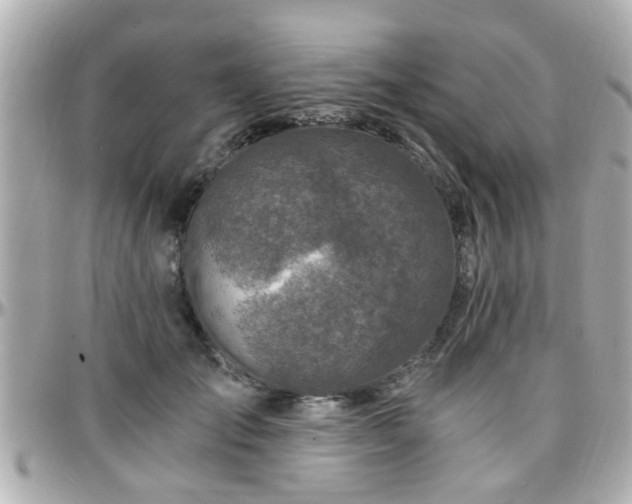 X0000096200701200801251013