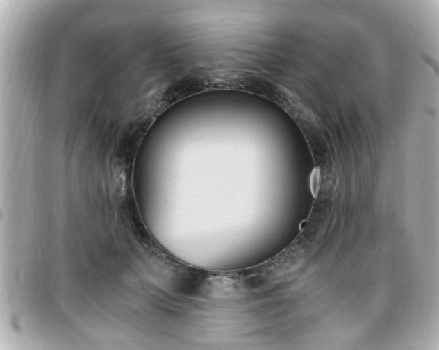 X0000096200703200801251013