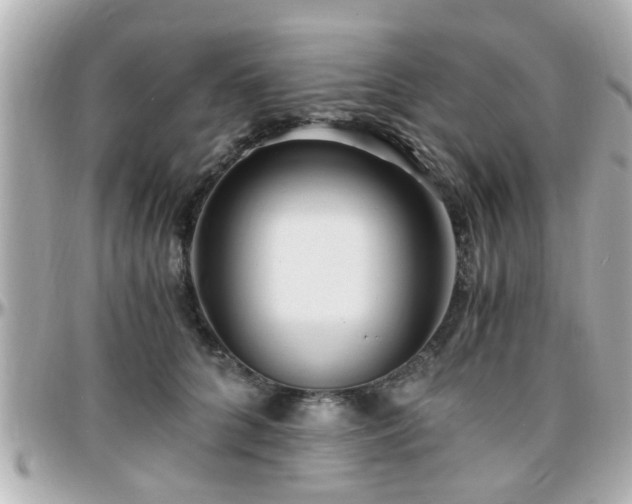 X0000096200704200801251013