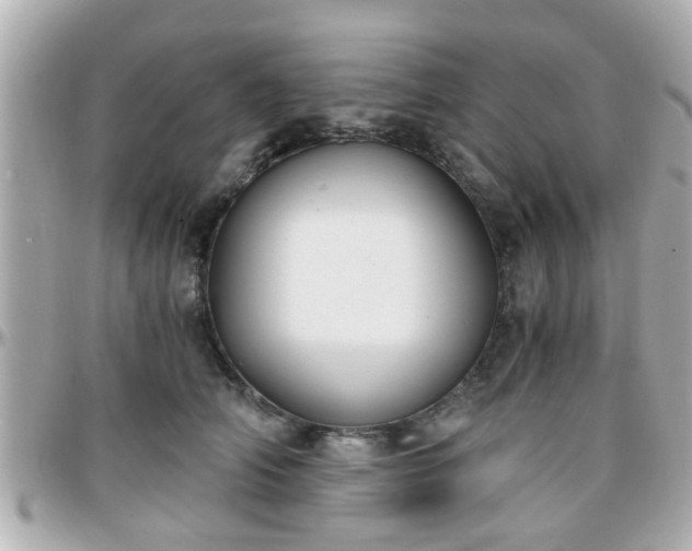 X0000096200706200801251013