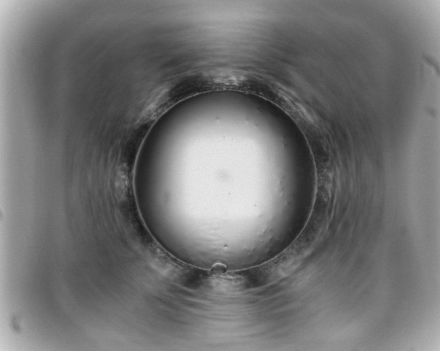 X0000096200707200801251013