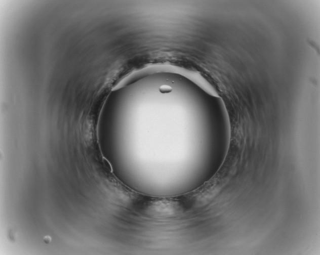 X0000096200708200801251013