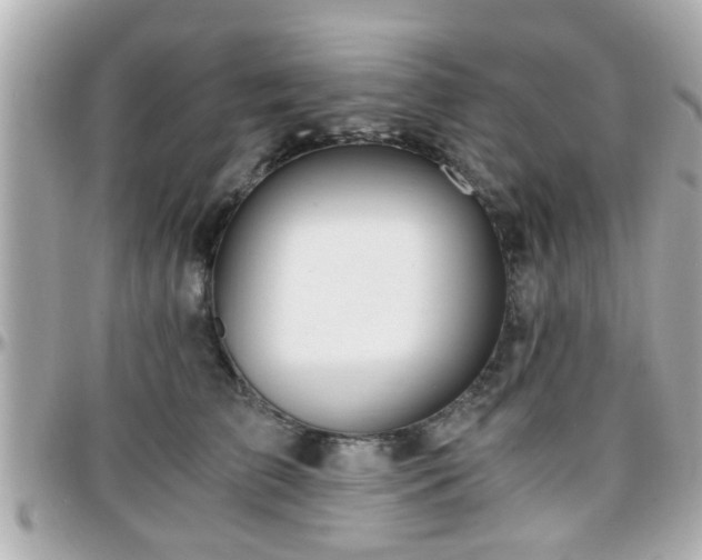 X0000096200709200801251013
