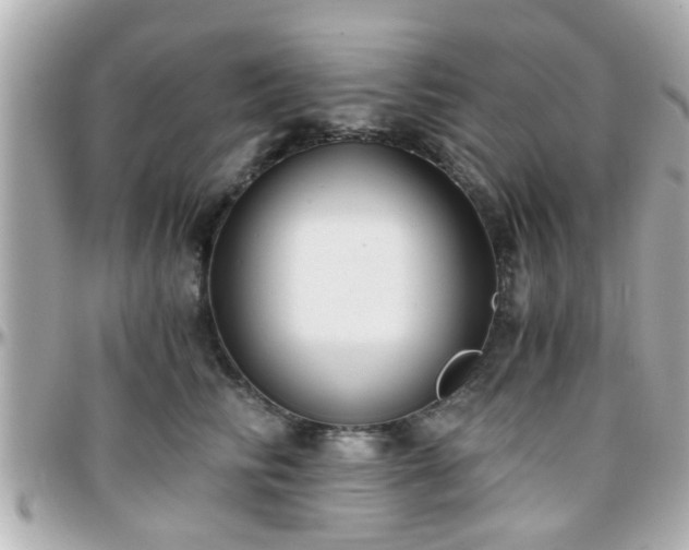 X0000096200710200801251013