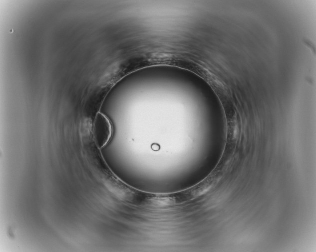 X0000096200711200801251013