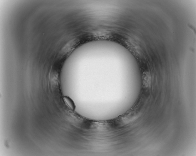 X0000096200713200801251013