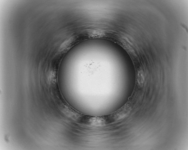 X0000096200714200801251013