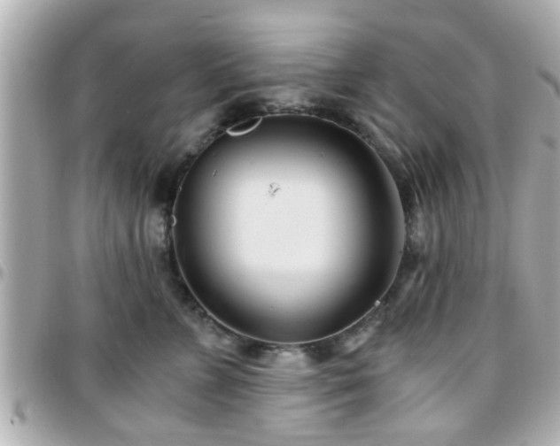 X0000096200715200801251013