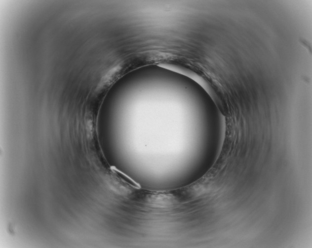 X0000096200716200801251013
