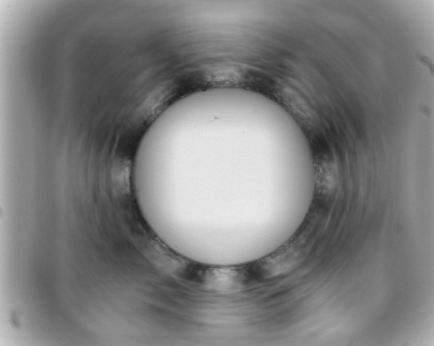 X0000096200717200801251013