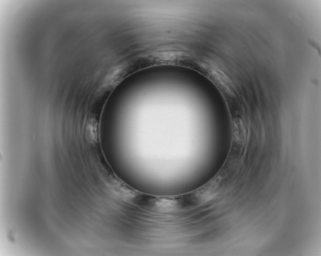 X0000096200718200801251013