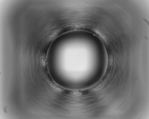 X0000096200719200801251013