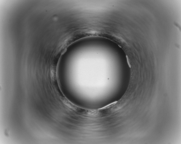 X0000096200720200801251012